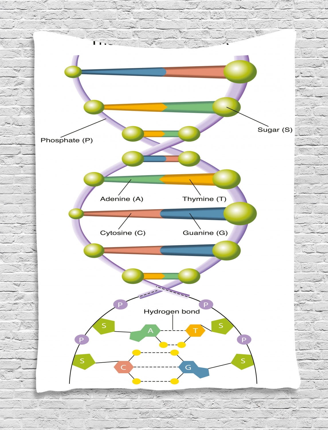 Educational Tapestry, Colorful Structure of DNA Code Amino