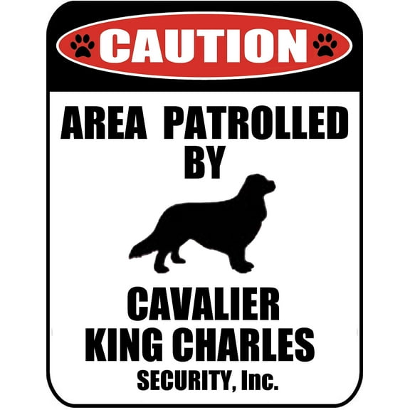 Caution Area Patrolled by a Cavalier King Charles 9 inch x 11.5 inch Laminated Dog Sign