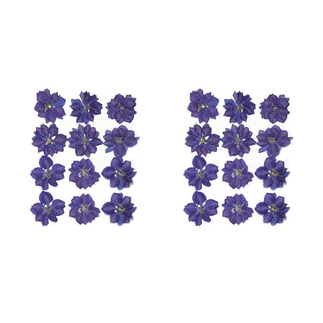Flor seca Naiovety pétalos naturales decoración floral segura Accesorio arte DIY Morado oscuro 2Conjunto