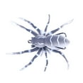 thumbnail image 1 of Ensemble d'Appâts de Pêche, Leurres de Nage Durs et Souples, Action d'Araignée Réaliste, Pêcheur en Eau Salée et en Eau Douce, 1 of 9
