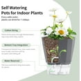 thumbnail image 4 of NOGIS Self Watering Planters, 1 Pack 8.4 Inch Self Watering Pots for Indoor Plants Wicking Pots, Modern Decorative Planter Pot for House Plants, Aloe,African Violets, Succulents (Grey), 4 of 7