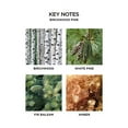 thumbnail image 3 of NEST Fragrances Birchwood Pine Wall Diffuser Refill, Set of 2, 3 of 3