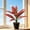 B, variant on Partheme Artificial Potted Plants for Indoor Use. Realistic Fake Plant with Pot for Living Room Office Bedroom Home Decor. 14 Inch PVC No Watering Needed, E