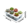 thumbnail image 3 of Amacok Mini Succulent Planters, Plant Containers for Succulent Cactus Flower, Indoor Outdoor Succulent Plant Pots with Tray, for Office, Desk, Window, 3 of 5