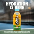 thumbnail image 6 of Ghost Hydration Orange Squeeze Sports Drink, 16.9 fl oz,12pk, 6 of 6