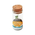 thumbnail image 2 of Small Green Bonsai Plant Pots Green Plants Housewarming Gift Yellow, 2 of 8