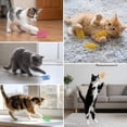 thumbnail image 6 of 100Pcs 5Colors Cat Springs Toys for Indoor Cats, Interactive Self-Play Hunting Toys for Kittens, Biting & Swatting Creative Cat Coils Toys, 6 of 6