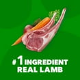 thumbnail image 4 of Iams Proactive Health Minichunks Dry Dog Food With Real Lamb & Rice, 15 Lb. Bag, 4 of 12