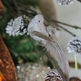 thumbnail image 3 of Northlight 5" Nature"s Luxury Clip-On Glittered Bird Christmas Ornament - Silver, 3 of 3
