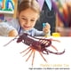 thumbnail image 4 of Modelo De Langosta De Plástico Suave, Accesorio De Decoración Para Restaurante De Mariscos, Juguete Para Niños, Material Didáctico, Cognición, 4 of 8