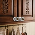 thumbnail image 2 of Hotpom Artistics Resin Door Knob, Nature Themed Cabinet Pull for Cabinets, Doors and Bedroom, Vintage Round Decorative Resin Handles Bathroom Accessories, 2 of 7