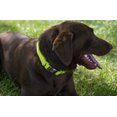 thumbnail image 3 of Country Brook Petz® Vibrant 10 Color Selection - Medium Premium Nylon Dog Collar - 1 inch Wide - Hot Yellow, 3 of 6
