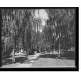 thumbnail image 2 of Historic Framed Print, [Railroad Park, Petoskey, Mich.], 17-7/8" x 21-7/8", 2 of 9