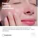 thumbnail image 2 of Bruma Facial Tonificante Simplificada de Agua de Rosas con Glicerina 120 mL, 2 of 9