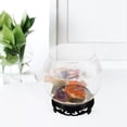 thumbnail image 4 of MOVTOTOP Transparent Plastic Fish Tank with Base for Desktop Use High Visibility Creative Home Decoration, 4 of 8