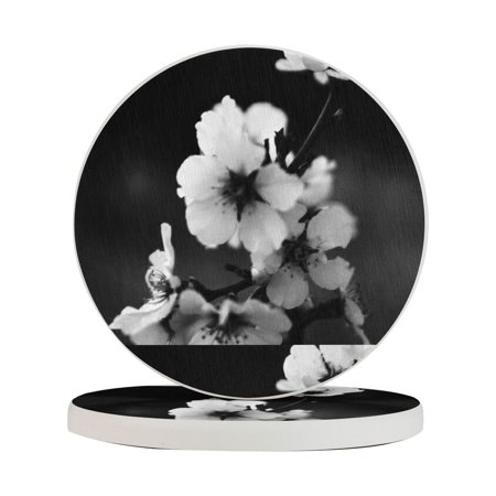 

Circular Drink Coasters Set Dogwood Bloom Beautiful Home Decor Diatomite Heat-Resistant Diatomite Protect Table Countertop