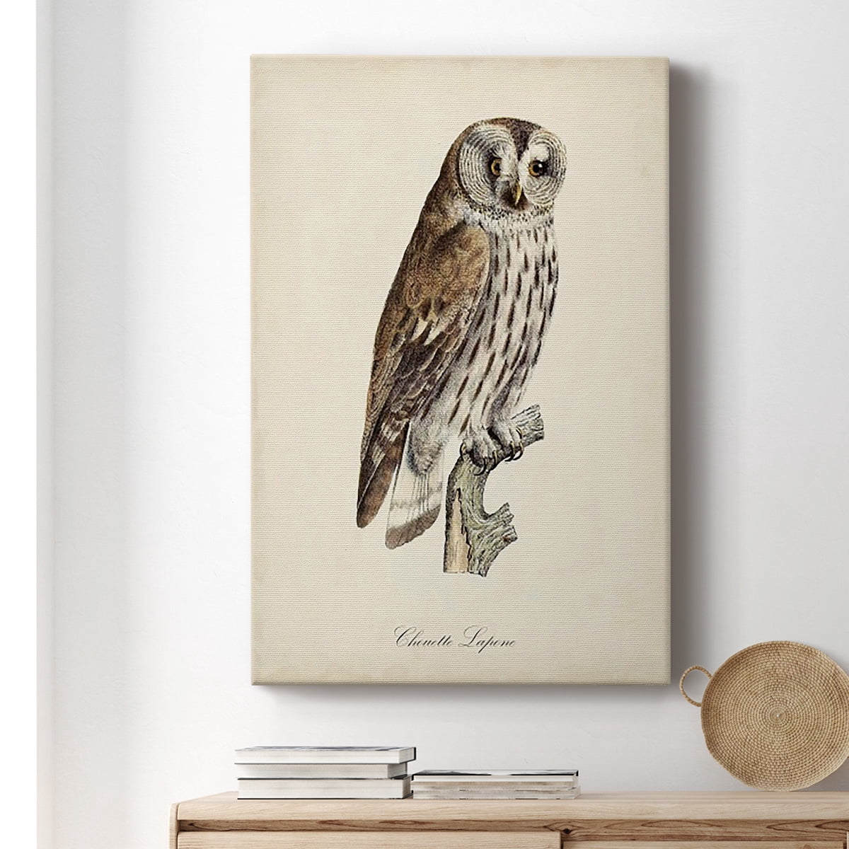 French Owls III Premium Gallery Wrapped Canvas - Ready to Hang