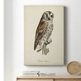 thumbnail image 6 of French Owls III Premium Gallery Wrapped Canvas - Ready to Hang, 6 of 9