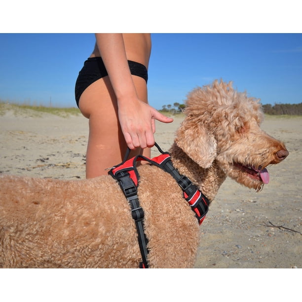 Black Rhino Comfortable Dog Harness with Padded Mesh Vest for