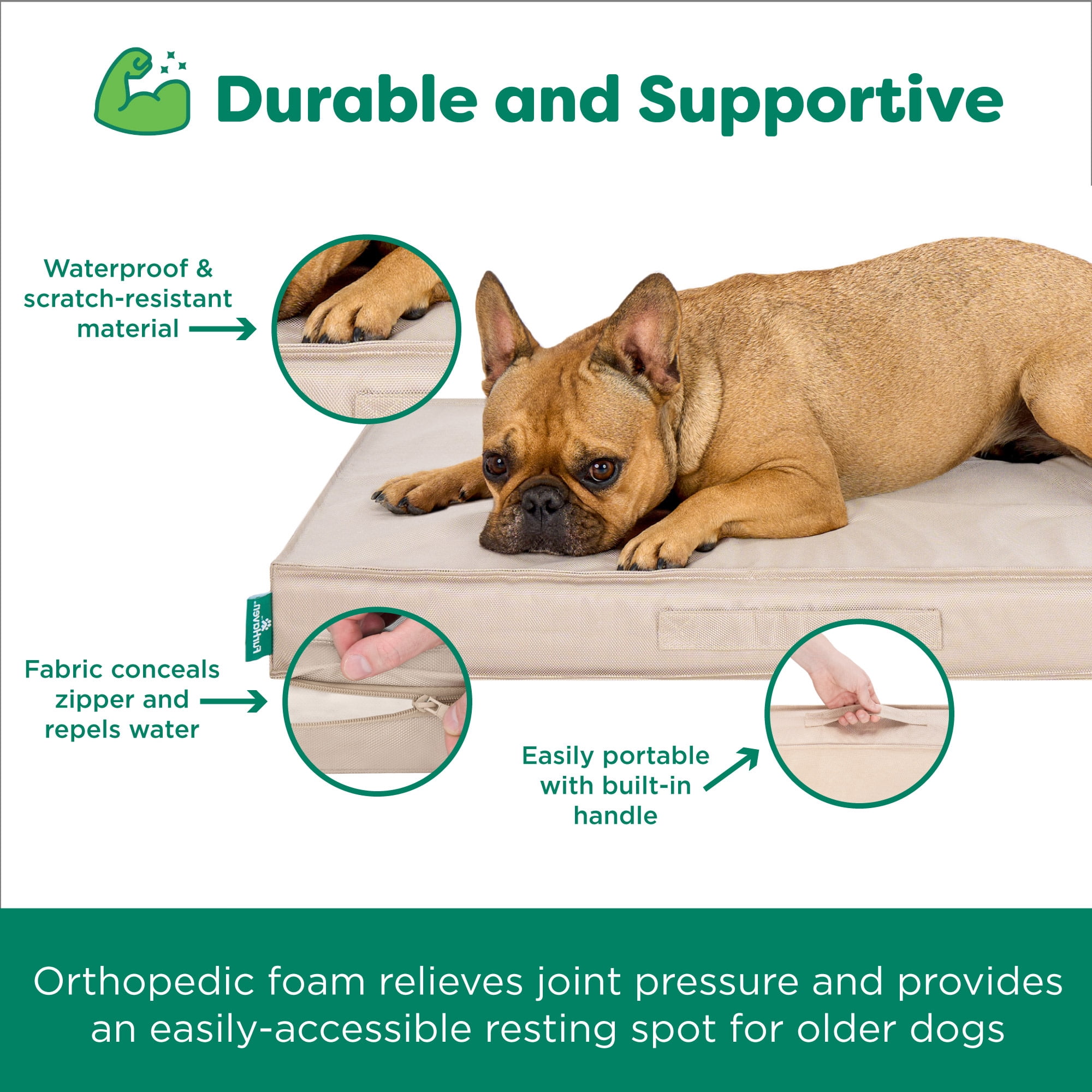 Premium Indoor-Outdoor Deluxe Orthopedic Mattress Pet Bed, Biscuit, Large