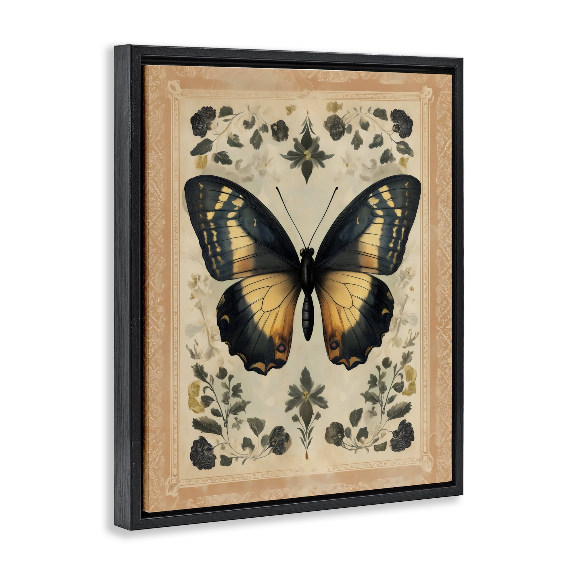 Stupell Industries Vintage Butterfly Botanical Illustration Black Framed Floater Canvas Wall Art, design by Arlington Prints
