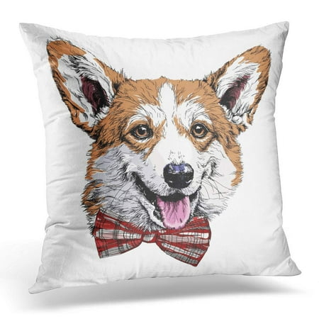 ARHOME Colorful Animal Vintage Retro Hipster Style Sketch of Funny Pembroke Welsh Corgi Dog White Hair Pillow Case Pillow Cover 20x20