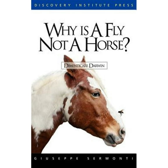 Why Is a Fly Not a Horse? (Hardcover)