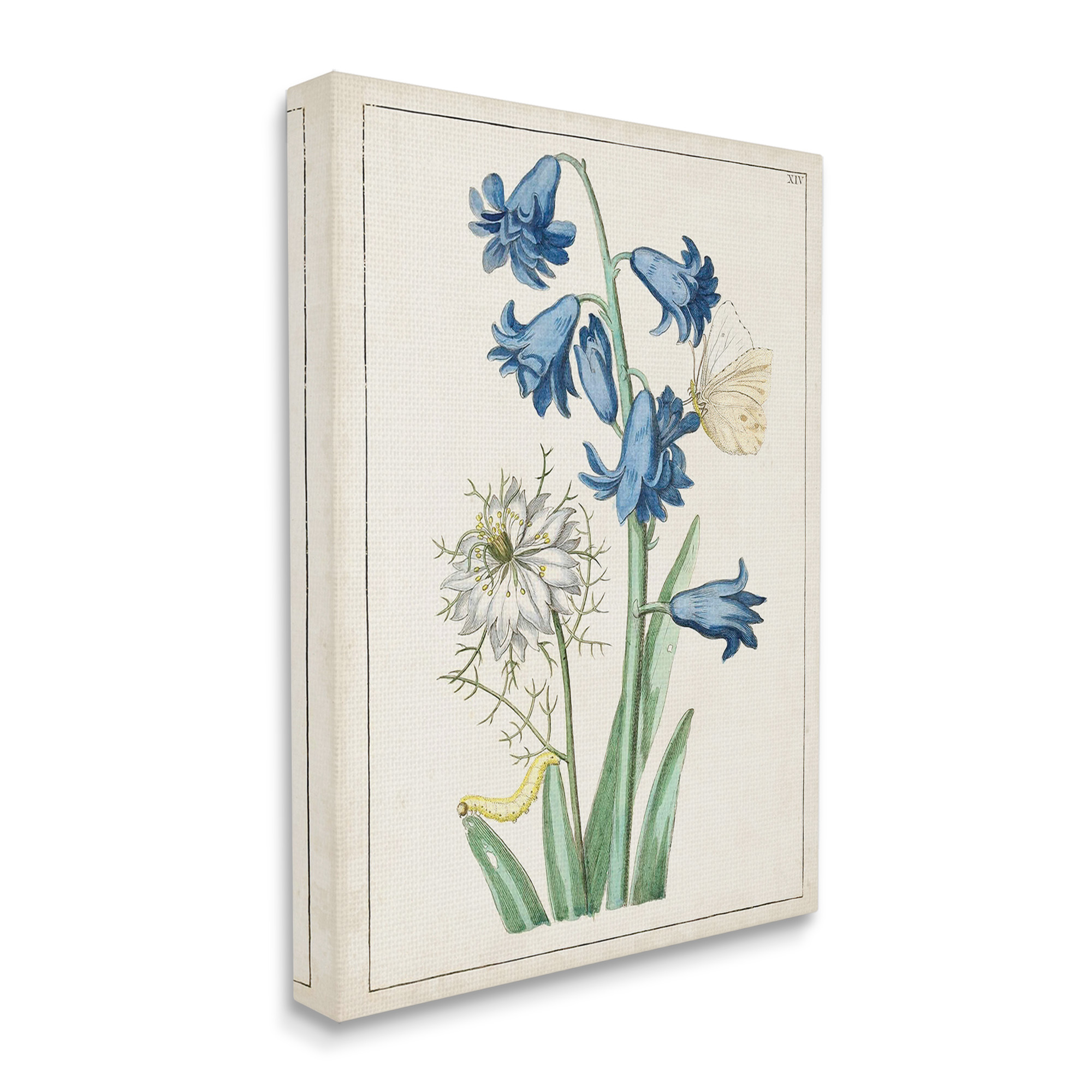 Stupell Industries Nature Bulbs with Moth Botanical & Floral Painting Gallery Wrapped Canvas Art Print Wall Art, 24 x 30