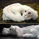 thumbnail image 5 of Maojin Falkor de la historia interminable, muñeco de peluche, regalo para niños y adultos, 5 of 7