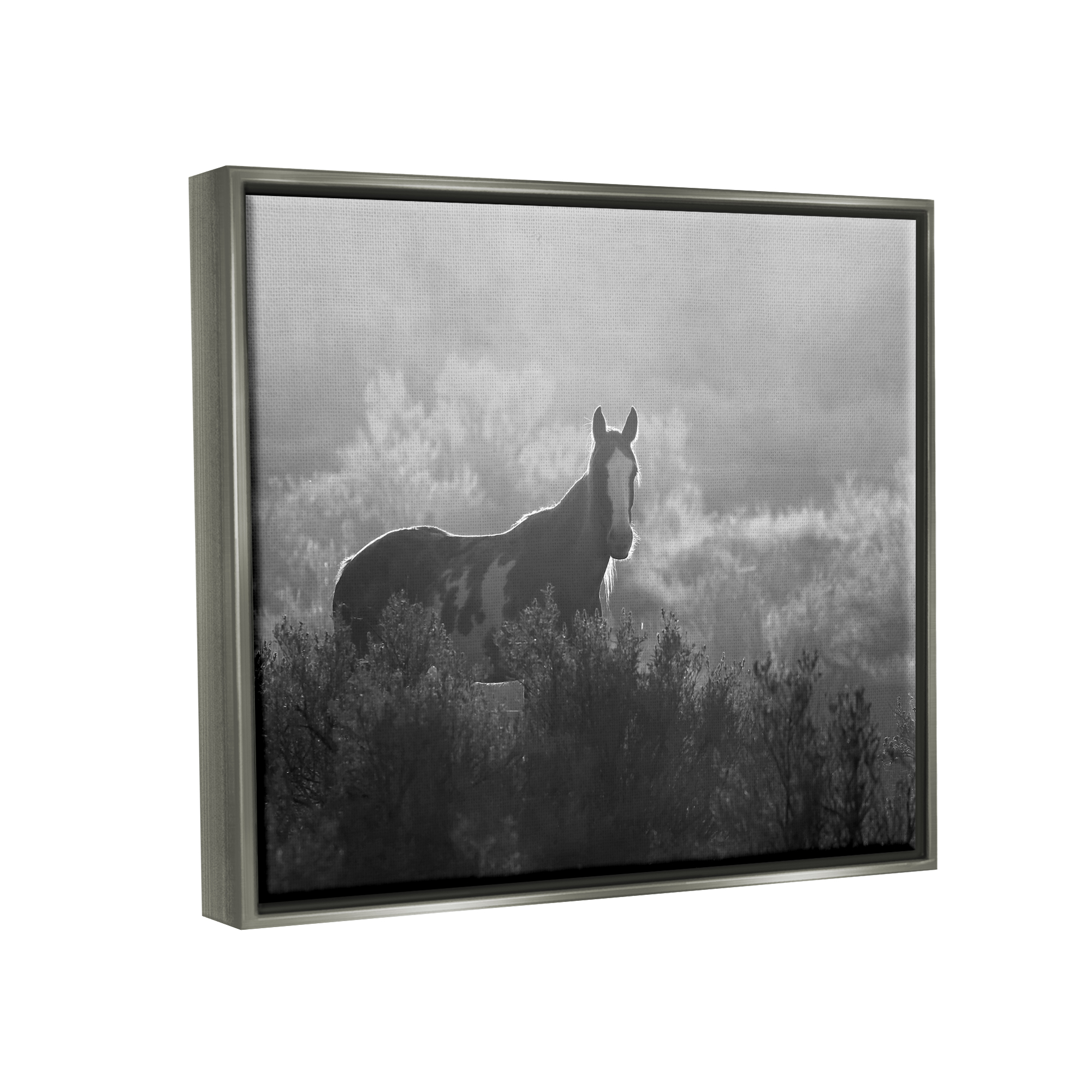 Stupell Industries Horse in Nature Trees Landscape Photography Gray Floater Framed Canvas Art Print Wall Art, 31 x 25