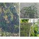 thumbnail image 5 of Lona de sombra para jardín, tela de sombra transpirable con bordes reforzados, cerca de privacidad anti-UV, lona de malla duradera para sombreado de verano y humidificación en invierno, 5 of 5
