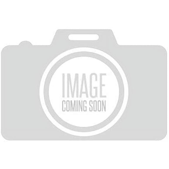 THROTTLEBODYANDMOTO (P)