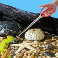 thumbnail image 5 of 14.5inch Long Snake Feeding Tweezers,Happon Snake Feeding Tongs,Reptile Feeding Tongs, Stainless Steel Feeding Tweezers for Ball Python Accessories Aquascape Maintenance, 5 of 8