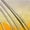 Green, variant on All-steel thin tube egg beater baking gadgets creative fan-shaped stainless steel egg beater multi-function handheld stirring rod