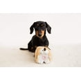 thumbnail image 5 of Pet Qwerks Super Deluxe Plush Dog Toy with Electronic Chattering Sounds, Multicolor Small, 5 of 7