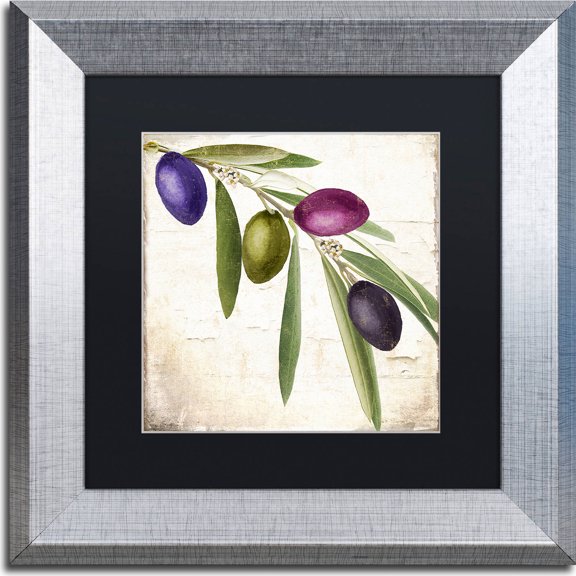 Trademark Fine Art "Olive Branch IV" Canvas Art by Color Bakery, Black Matte, Silver Frame