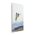 thumbnail image 4 of Stupell Industries Catching Air Snowboarder Sports Photography Unframed Art Print Wall Art, 10 x 15, 4 of 8