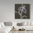 thumbnail image 3 of Trademark Fine Art 'Iris on Black IV' Canvas Art by Chris Paschke, 3 of 3