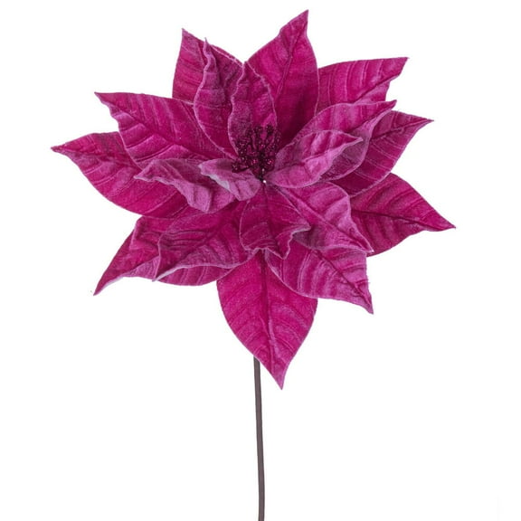 21.5" Hot Pink Poinsettia 12" Flwr 6/Bag