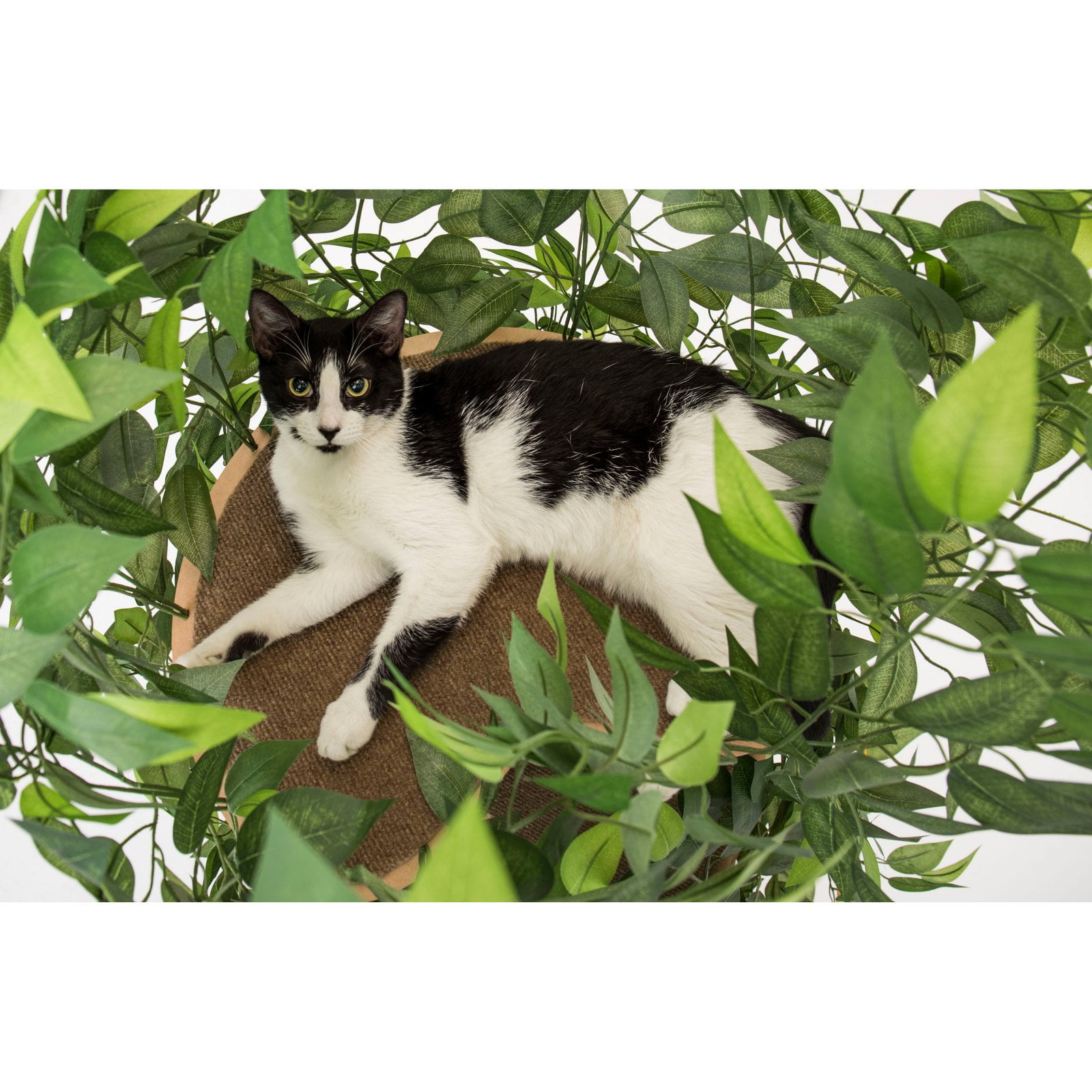 Leaf cat tree discount