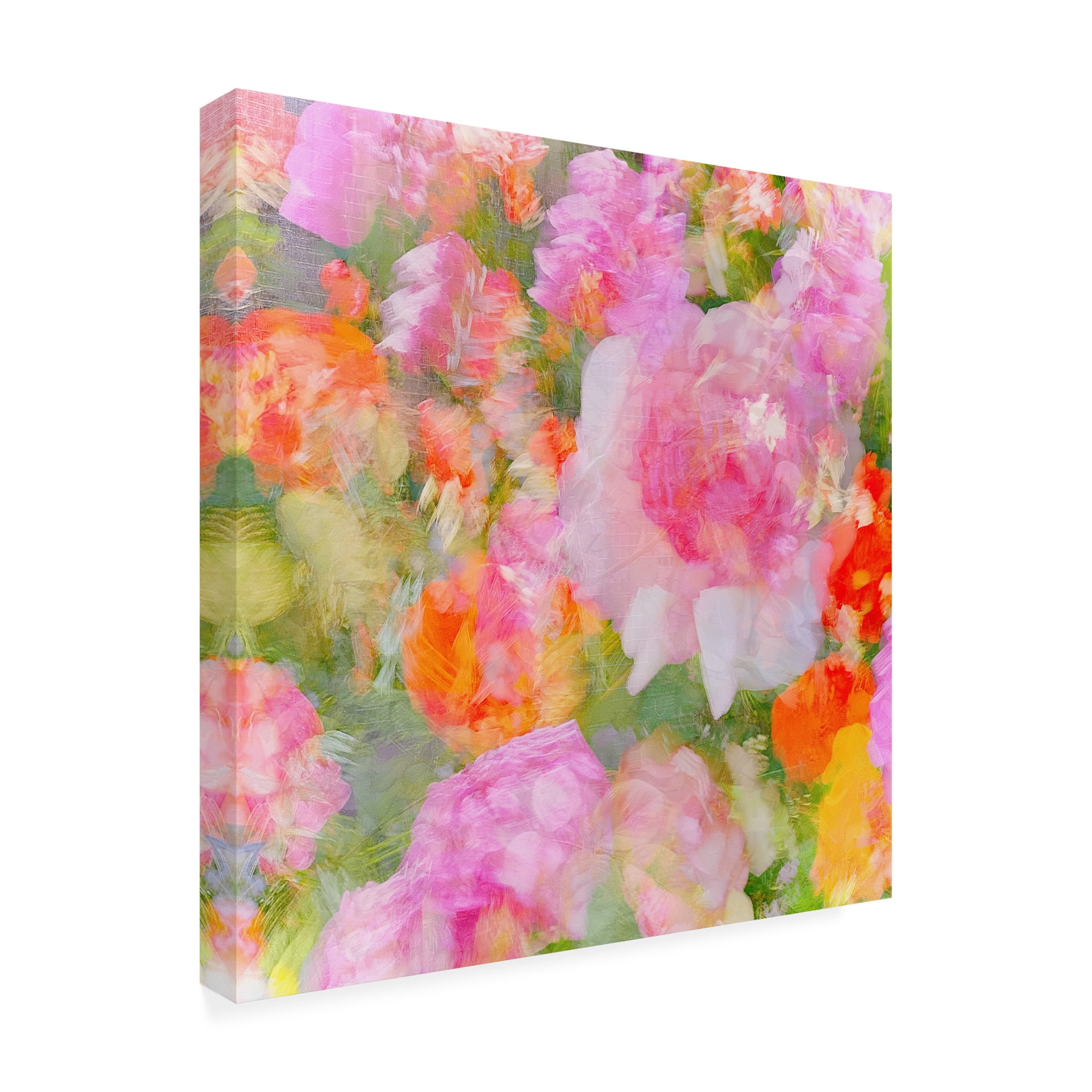 Trademark Fine Art Molly Fu  My Rose Garden Impression Canvas Wall Art