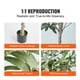 thumbnail image 4 of VEVOR Olivo artificial, planta sintetica de 5 pies de alto, material de PE seguro y protección antiinclinación, planta de bajo mantenimiento, 4 of 9