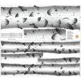 thumbnail image 2 of Wallpops Dwpk2756 Skit De Arte De Pared De Abedules Plateados, Blanco Y Blanquecino, 2 of 3