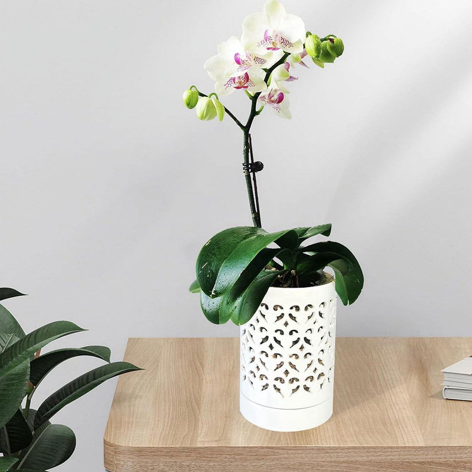 2X Orchid Pots with Holes,4 Inch Ceramic Orchid Pot for Repotting, Flower Planter Pot Indoor Outdoor, Breathable White