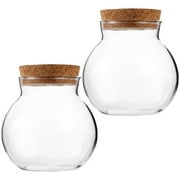 6 Pcs Micro Landscape Ecological Bottle Flower Vase Home Empty Air Plant Holder Glass Micro-landscape Fish Tanks Jars