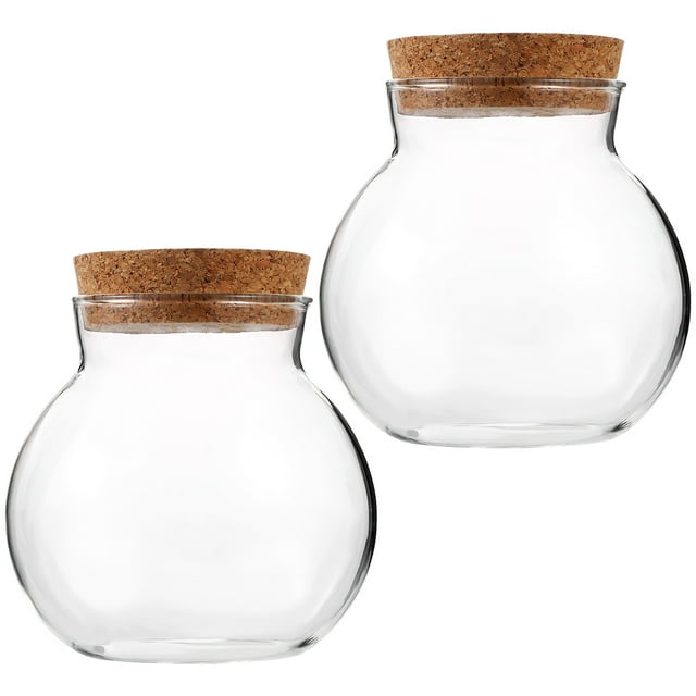 Minkissy 2pcs Storage Container Glass Jar Sealed for Modern Home Decoration