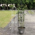 thumbnail image 3 of SDFGTstore Tower Obelisk Garden Trellis U-Shaped Plant Stand Flower Climbing Frame Rust-resistant Stainless Steel Flower Support, 3 of 15