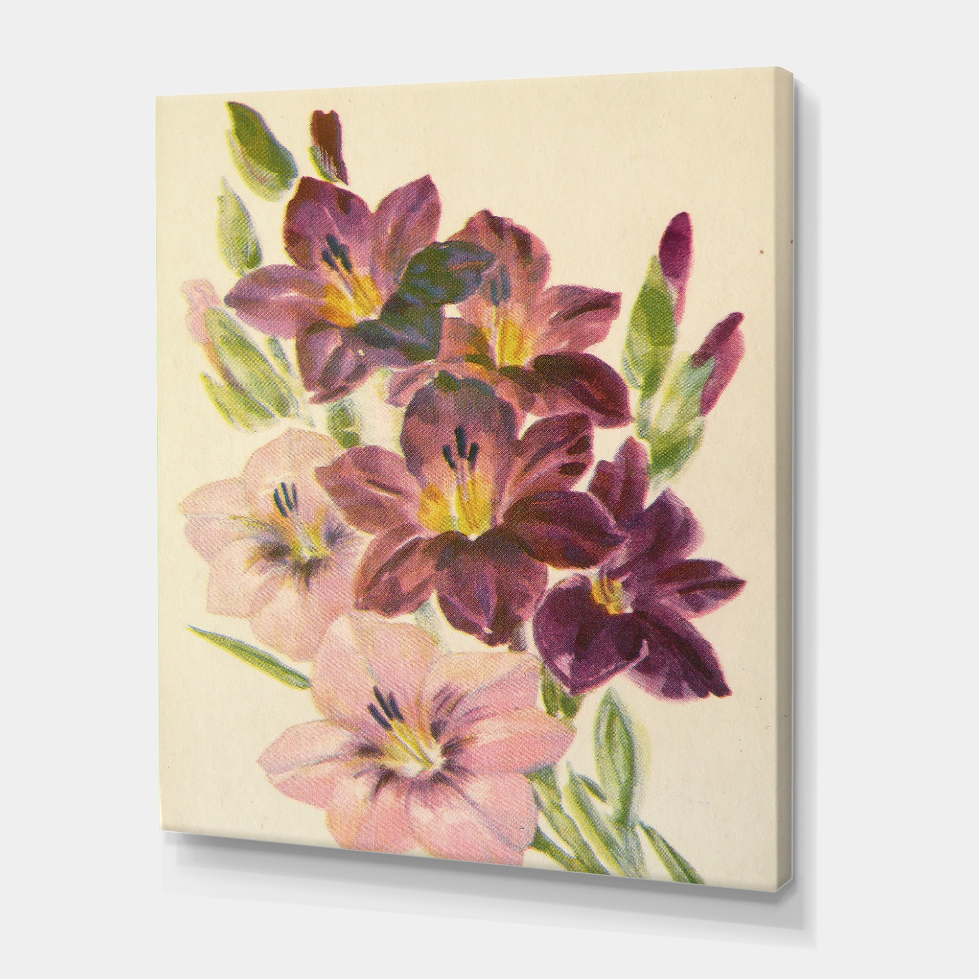 Designart ' Retro Dark and Light Pink Gladiolus ' Traditional Canvas Wall Art Print