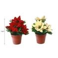 thumbnail image 2 of Poinsettia Pot - Set of 2, 2 of 3