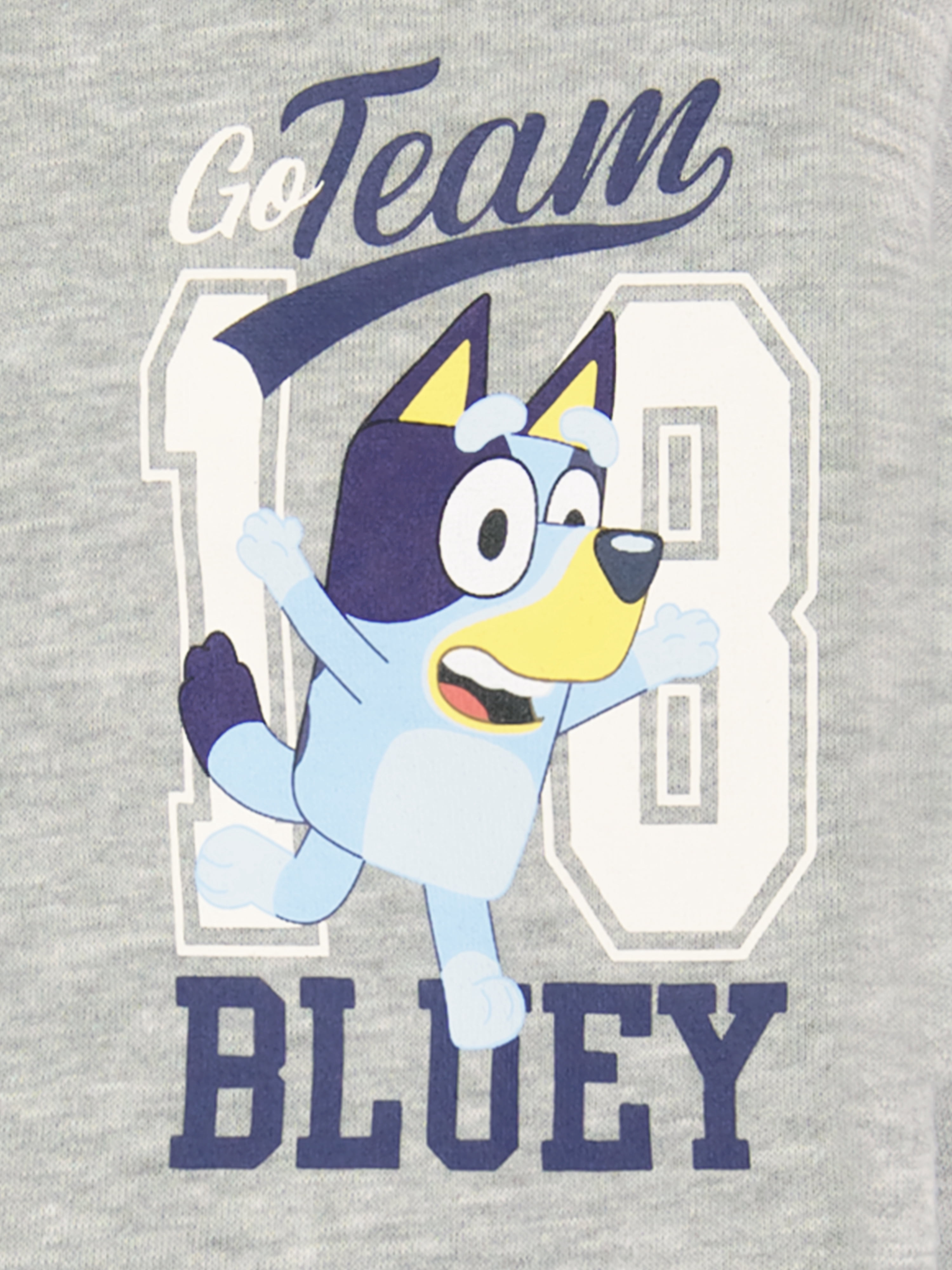 Bluey Toddler Boys Quarter Zip Top, Sizes 12 Months - 5T